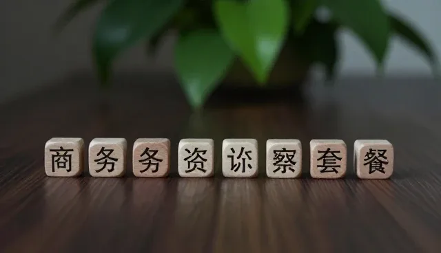 商务考察中的实用技巧与注意事项
